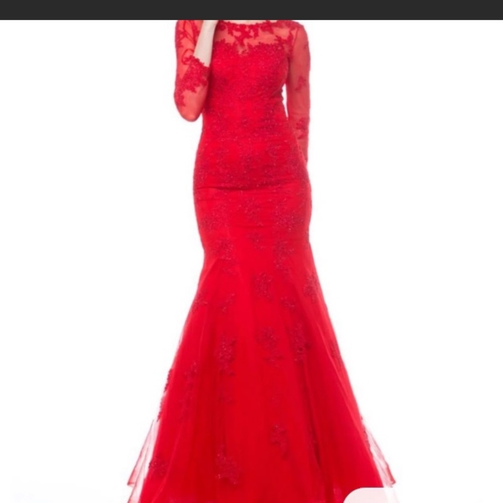 Beautiful Red ❤️ dress